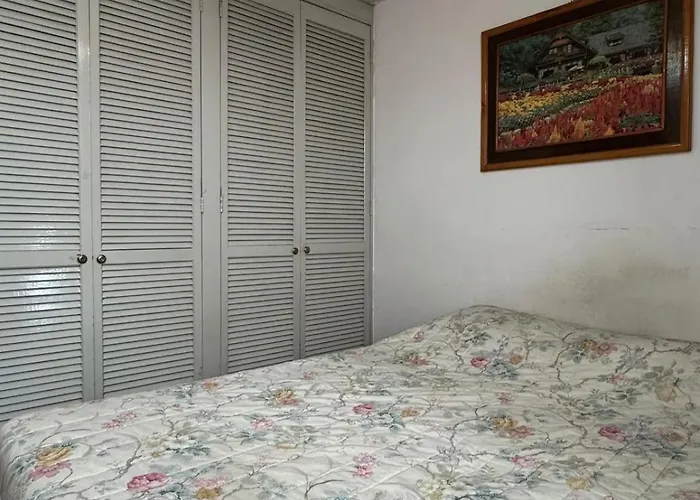 Apartment Vintage Narvarte & Art Gallery Mexico City